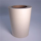 PA hot melt adhesive film for fabric and garment